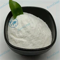 Dimethocaine Hydrochloride